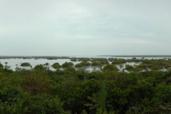 North-Cacicos-Flamingo-Pond-in-esarly-morning-2007