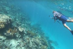 Snorkeling off the beach