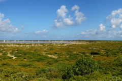 Salt-Cay-From-Taylor-Hill-toward-Balfour-town