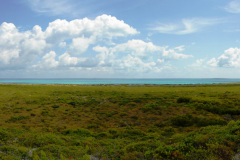 Salt-Cay-Little-Bluff-towards-North-beach.-Windmills-Planation