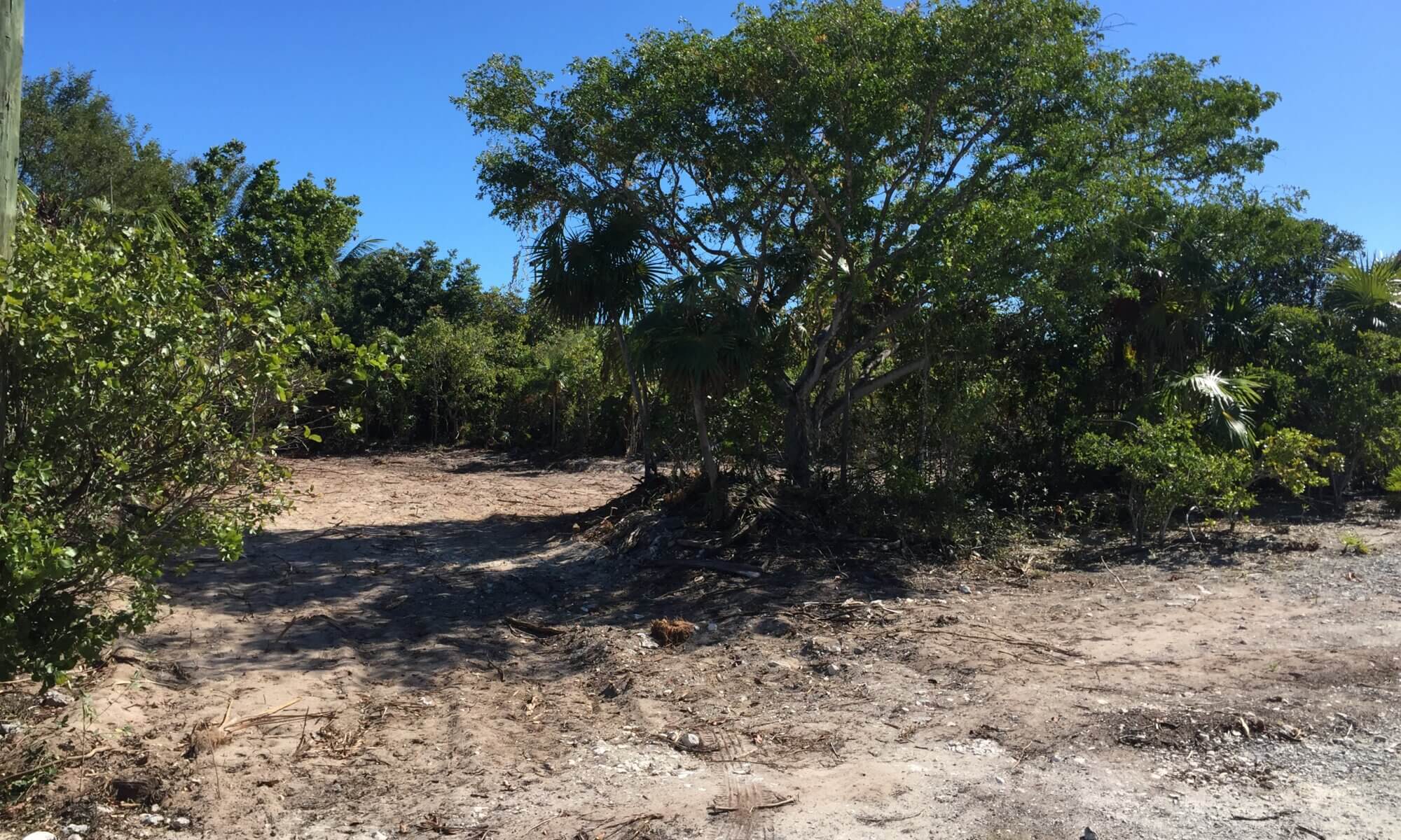 Gracehaven lot before building